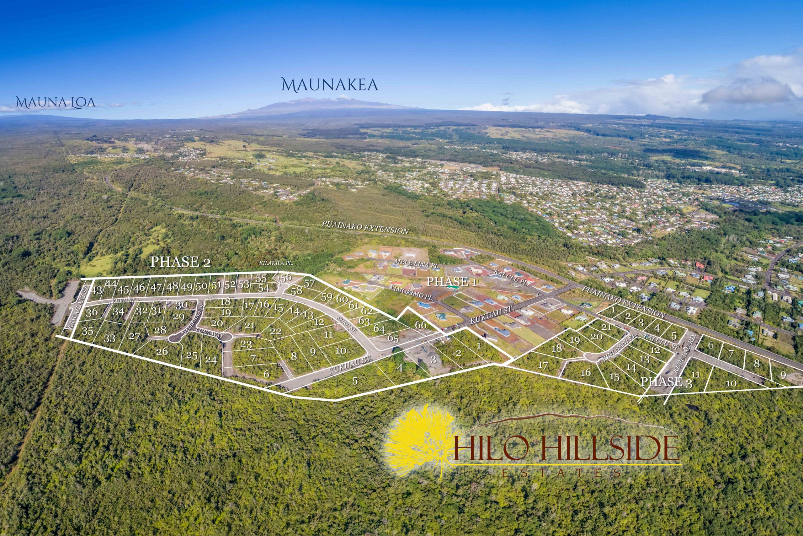 Hilo Hillside Phase 2&3 With Numbers