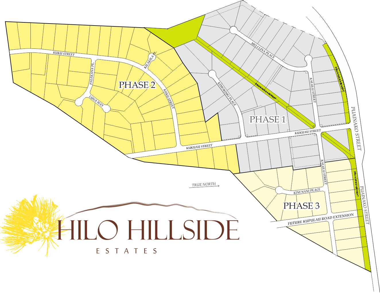 Hilo Hillside phases 2 & 3 are 96 complete! Hilo Hillside Estates